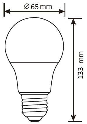 LAMPADINA A LED SMD A65 20W E27 6500K