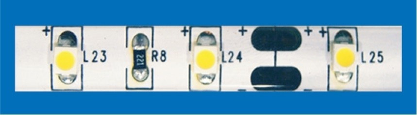 STRISCIA A LED 5MT 12V 300LED SMD3528 60LED/MT 6000K