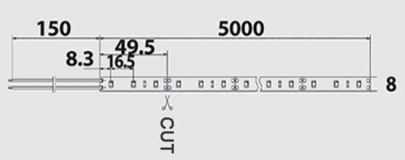 STRISCIA A LED 5MT 12V 300LED SMD3528 60LED/MT 6000K