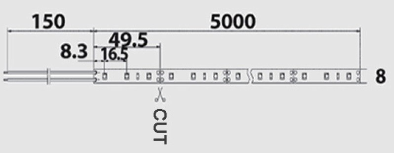 STRISCIA A LED 5MT 12V 300LED SMD3528 60LED/MT 6000K