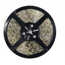 STRISCIA A LED 5MT 12V 300LED SMD5050 60LED/MT 6000K