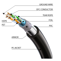 CAVO CAT.6A FTP PVC+PE AWG 23 CU ANTIRODITORE