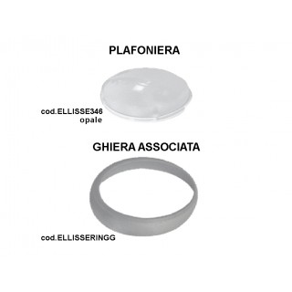 GHIERA GRIGIA PER ELLISSE346